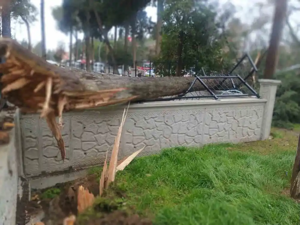 Fırtına Tavas’ta hayatı felç etti